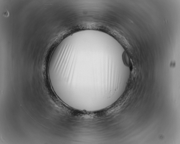 X0000098230306200805151347