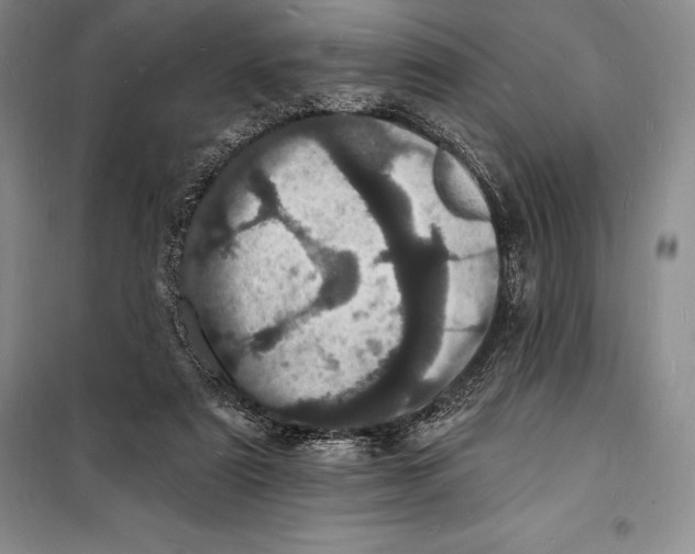 X0000098230307200805151347