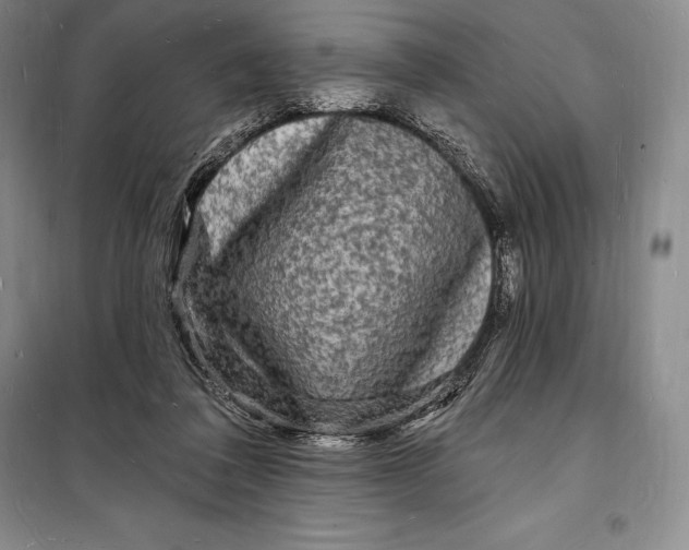 X0000098230308200805151347