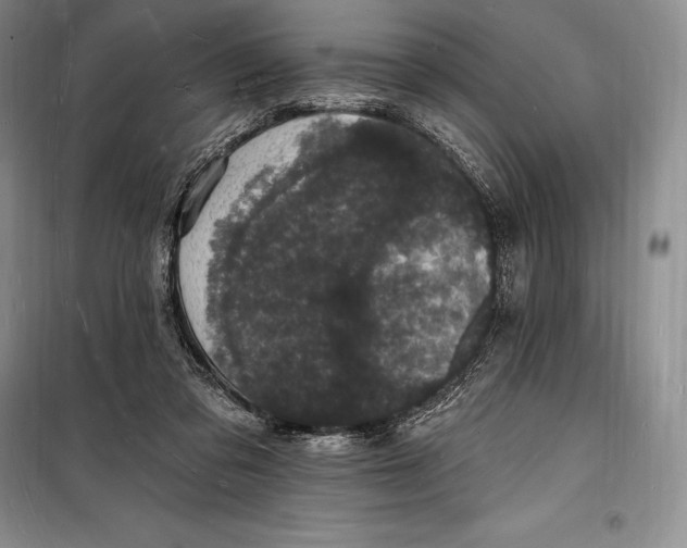 X0000098230309200805151347