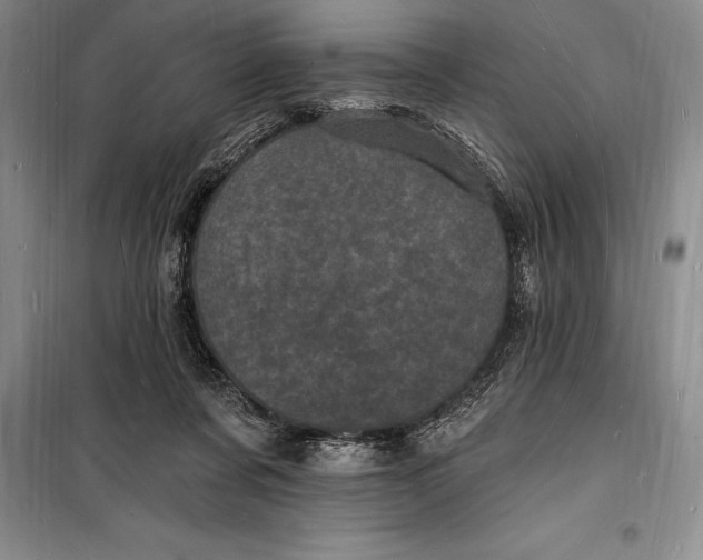 X0000098230311200805151347