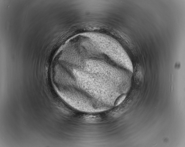 X0000098230315200805151347