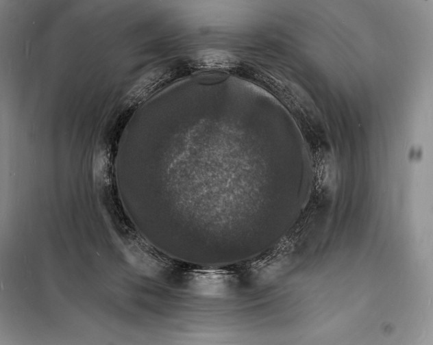 X0000098230316200805151347