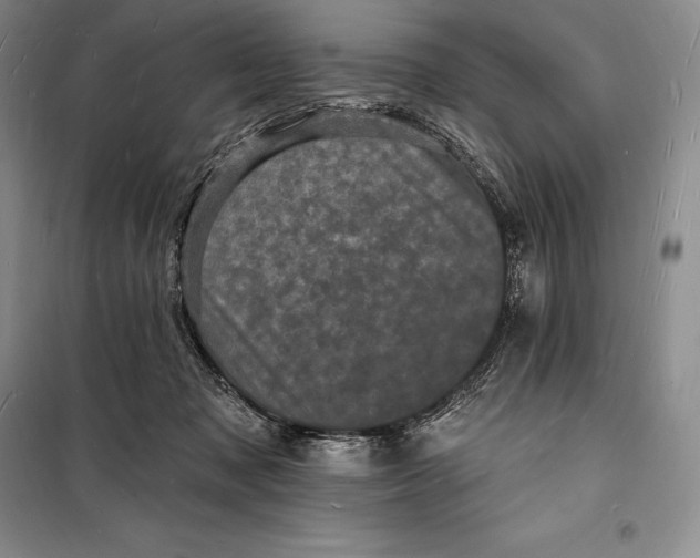 X0000098230317200805151347