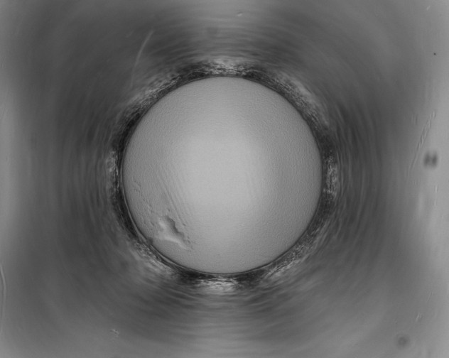 X0000098230318200805151347