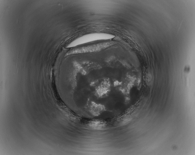 X0000098230319200805151347