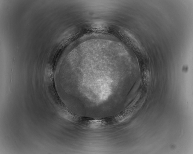 X0000098230320200805151347