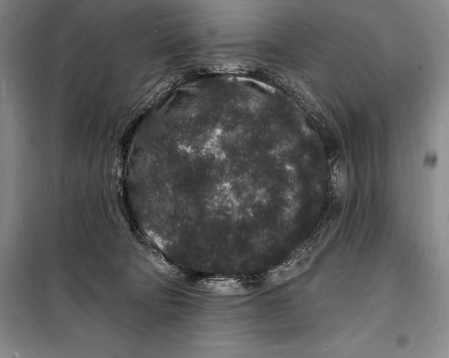 X0000098230322200805151347