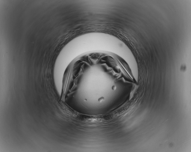 X0000098230323200805151347