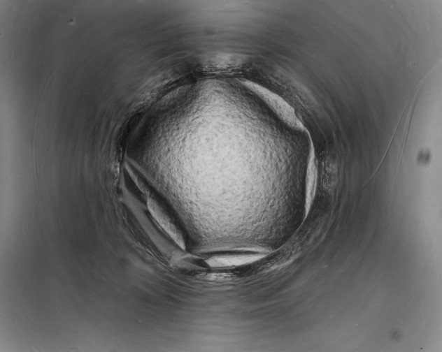 X0000098230324200805151347