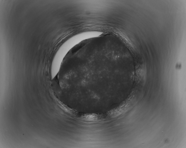 X0000098230325200805151347