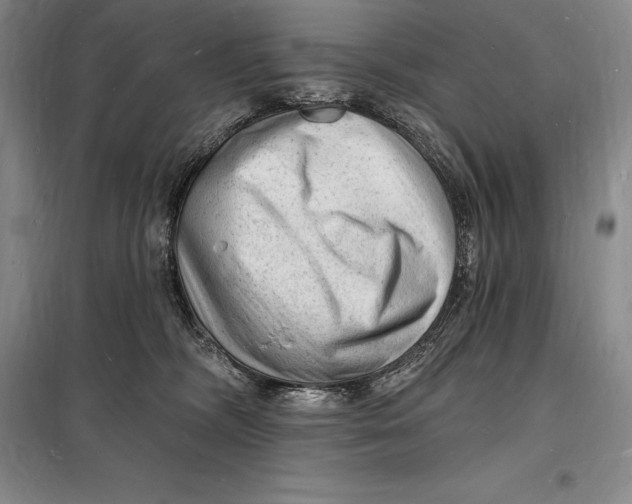 X0000098230326200805151347