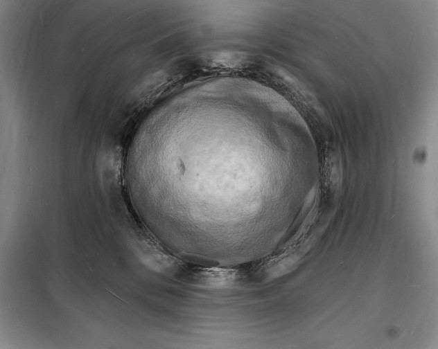 X0000098230328200805151347