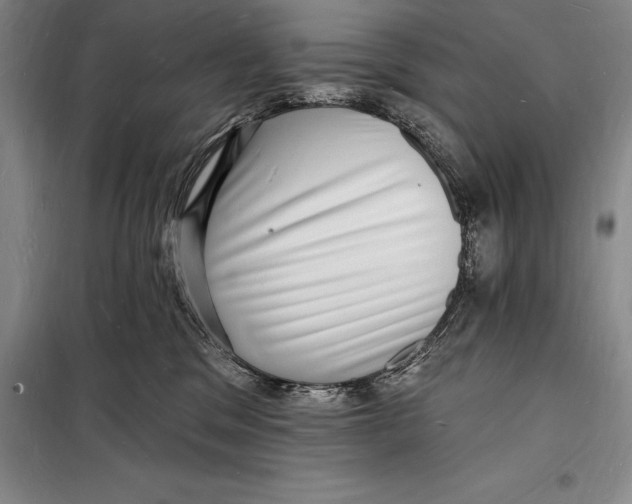 X0000098230329200805151347