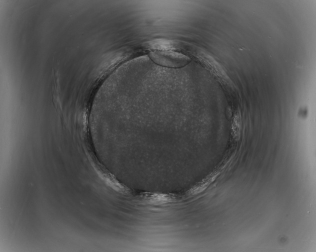 X0000098230330200805151347