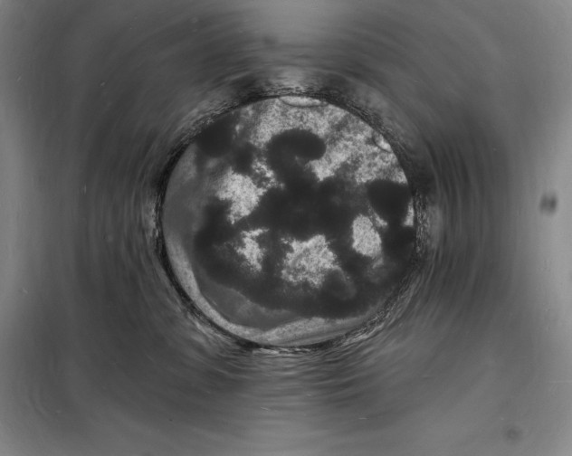 X0000098230331200805151347