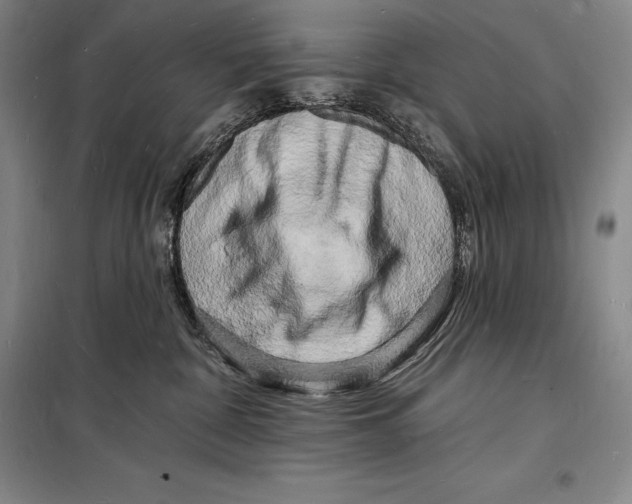 X0000098230332200805151347