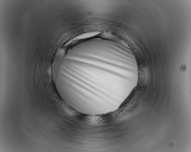 X0000098230333200805151347