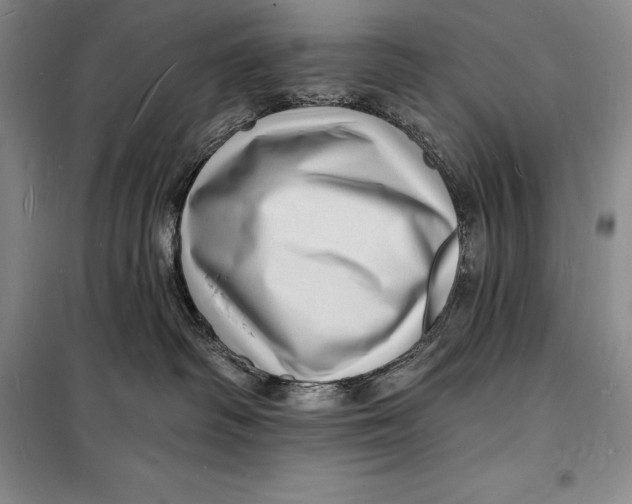 X0000098230334200805151347