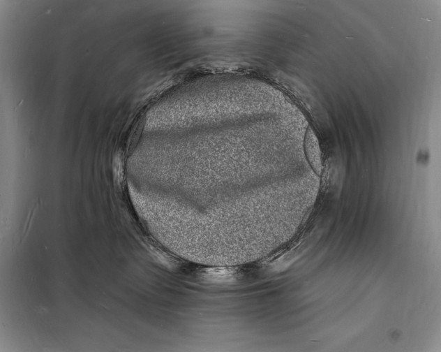 X0000098230335200805151347