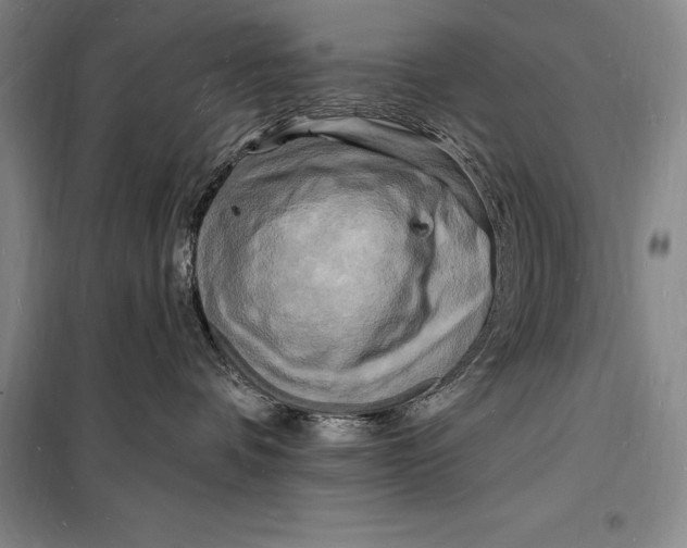 X0000098230336200805151347