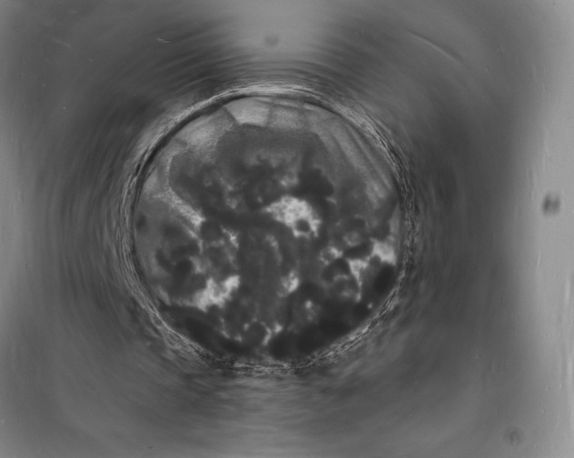 X0000098230337200805151346