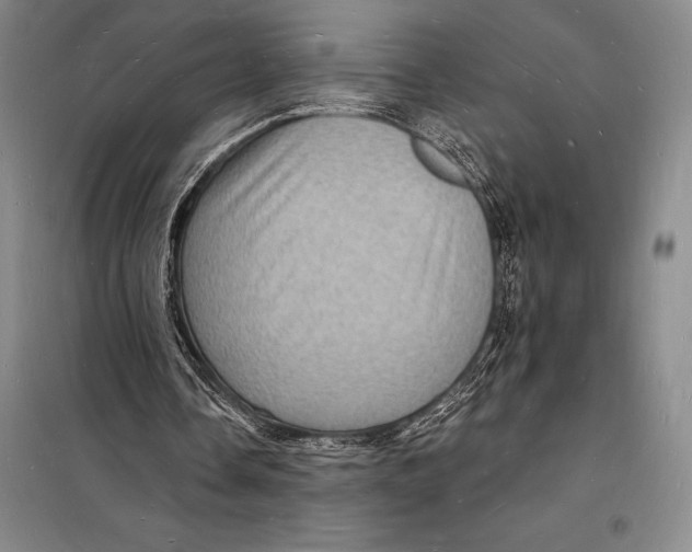 X0000098230338200805151346