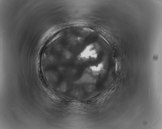 X0000098230339200805151346