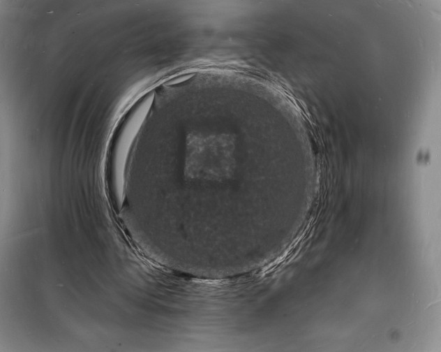 X0000098230340200805151346