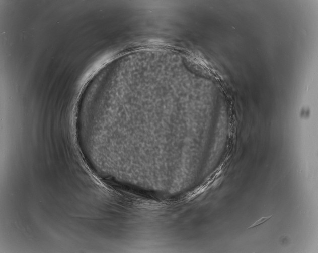 X0000098230341200805151346