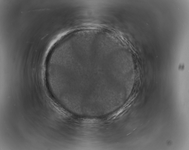 X0000098230342200805151346