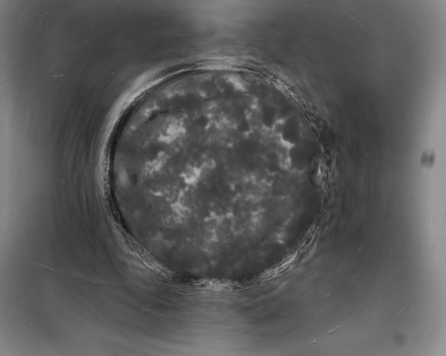 X0000098230343200805151346