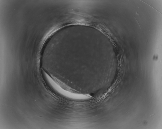 X0000098230344200805151346