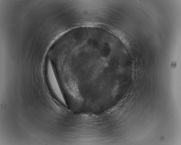 X0000098230346200805151346