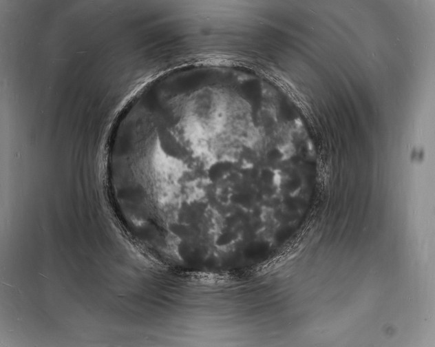 X0000098230347200805151347