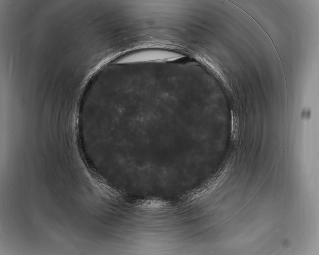 X0000098230348200805151347