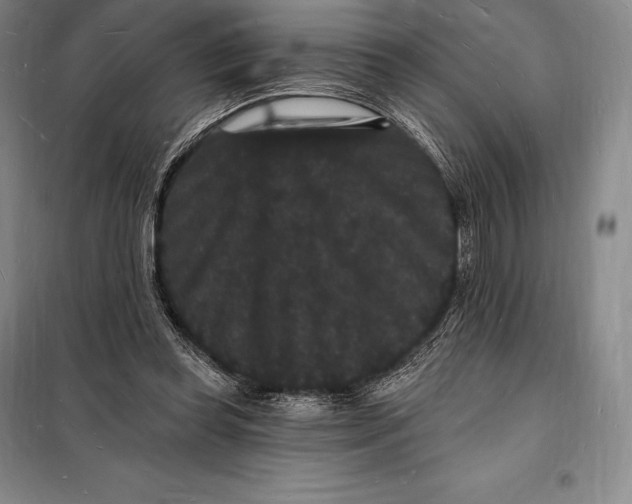 X0000098230349200805151347