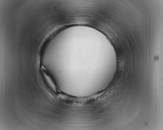 X0000098230350200805151347