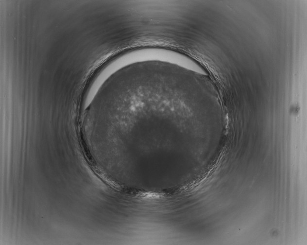 X0000098230352200805151347