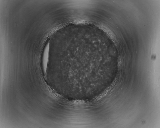 X0000098230353200805151347