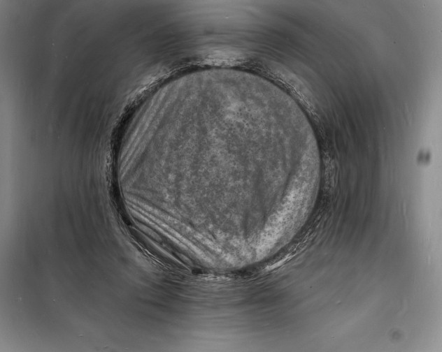 X0000098230354200805151347