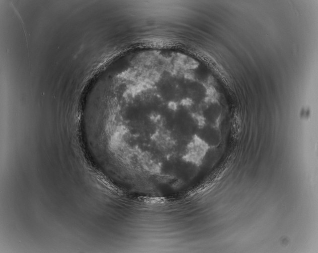 X0000098230355200805151347