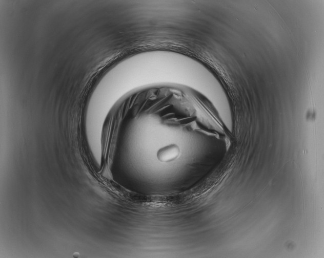 X0000098230356200805151347