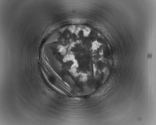 X0000098230357200805151347