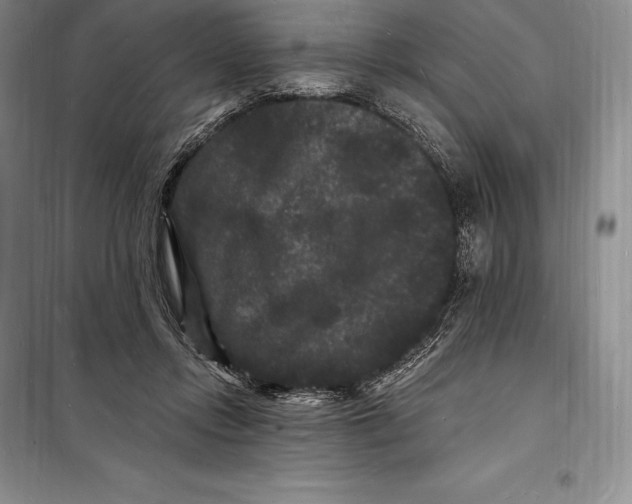 X0000098230358200805151347