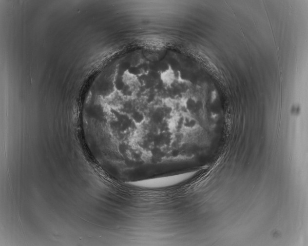 X0000098230359200805151347