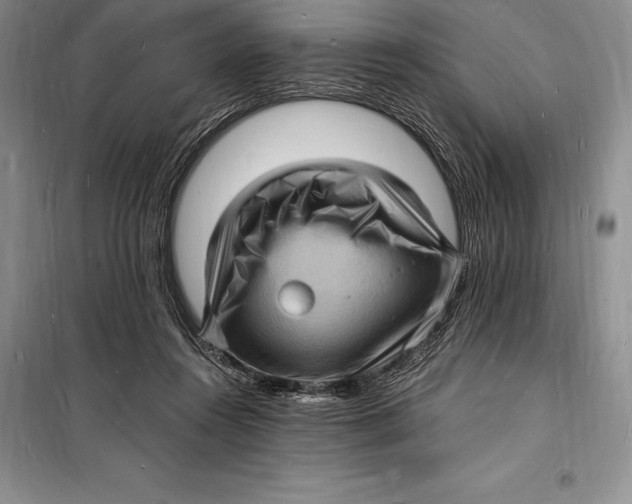 X0000098230360200805151347