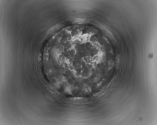 X0000098230361200805151347