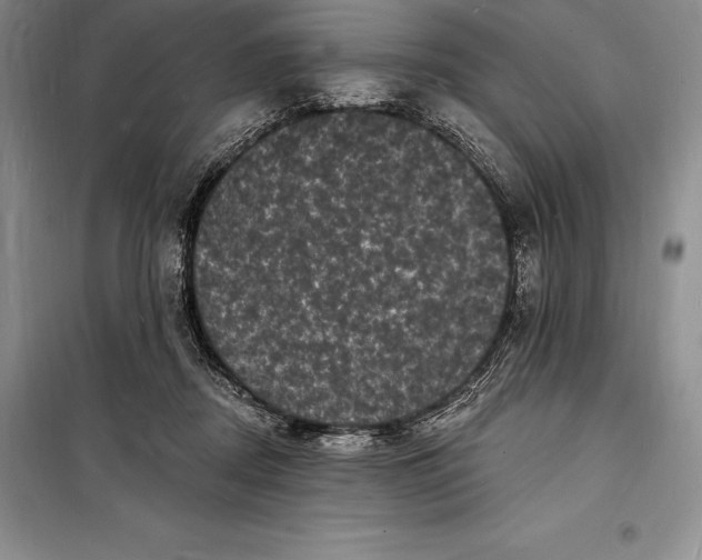 X0000098230362200805151347