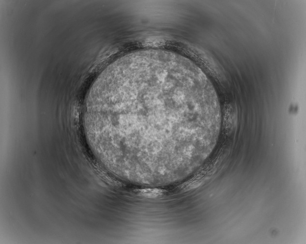 X0000098230363200805151347